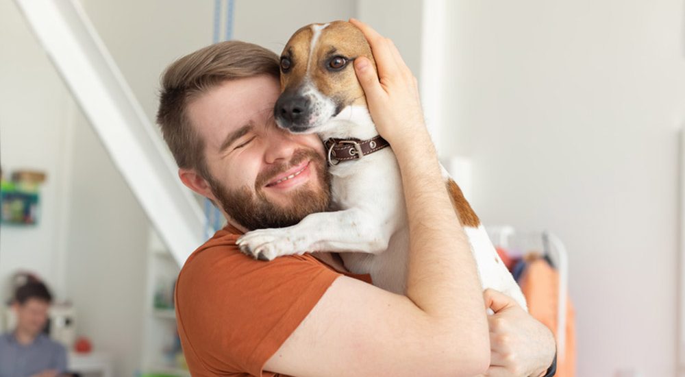 Was passiert mit dem Hund nach der Scheidung?